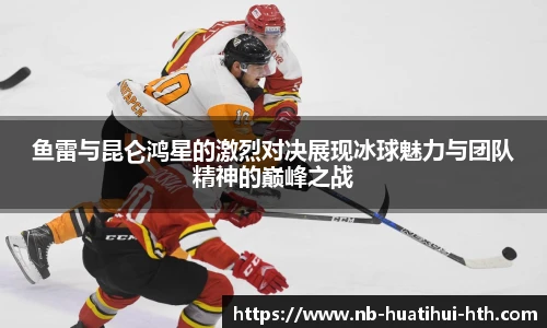 华体会hth sports