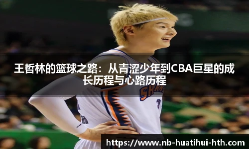 华体会体育登录入口